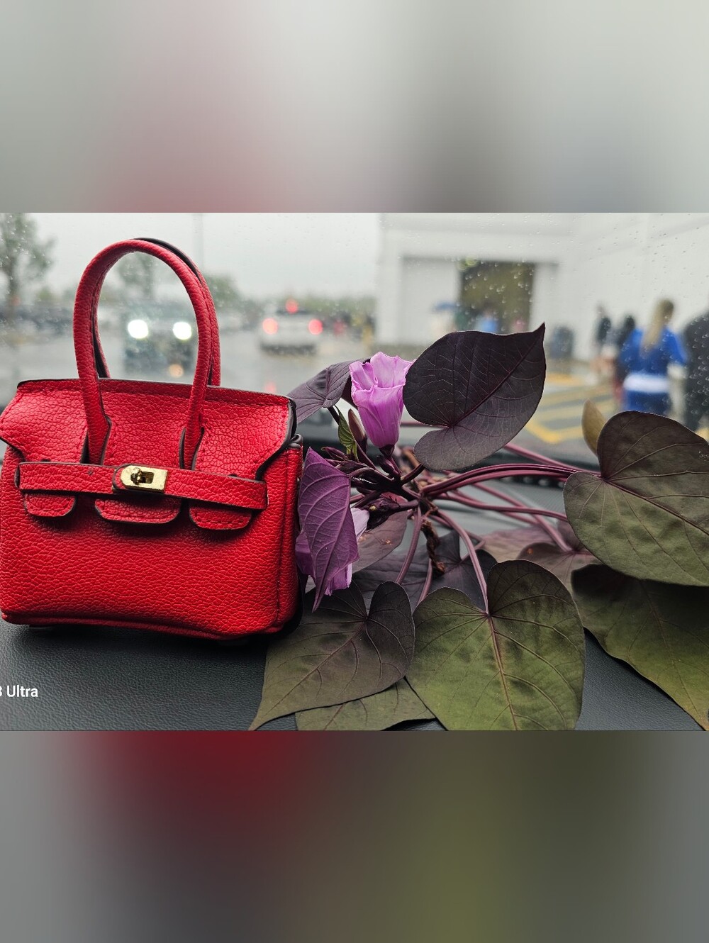 Red Mini Satchel Handbag - Women's Fashion Bag
